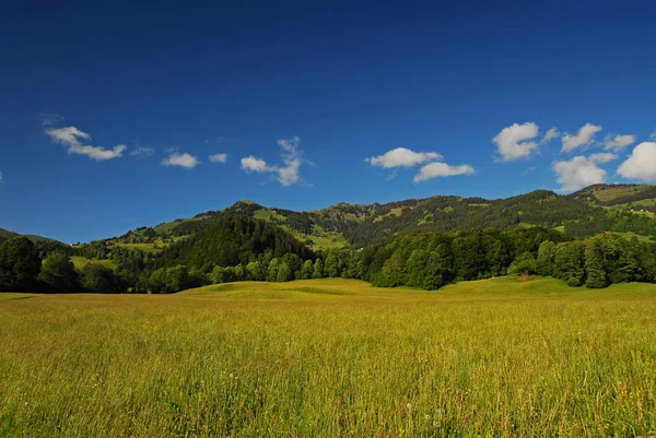 Vista Panorámica Del Hermoso Paisaje Los Alpes — Foto de Stock