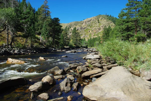 Poudre Flod Nära Rustik Colorado — Stockfoto