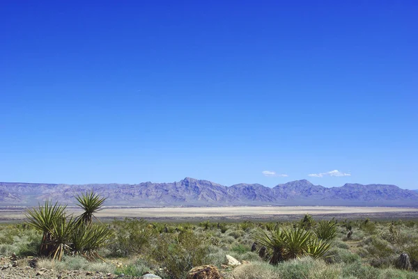 Ψηλό Τοπίο Της Ερήμου Κοντά Στην Αμμώδη Κοιλάδα Nevada — Φωτογραφία Αρχείου