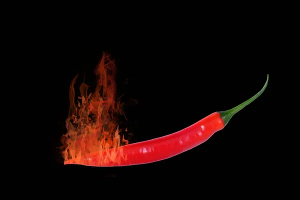 Rode Hete Chili Peper Zwarte Achtergrond — Stockfoto