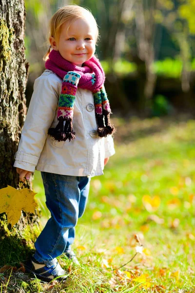 Adorable Toddler Girl Standing Tree Beautiful Autumn Park Stock Photo