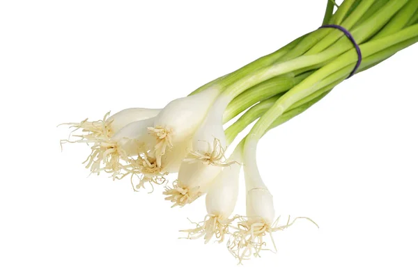 Walesi Hagyma Allium Fistulosum Köteg — Stock Fotó