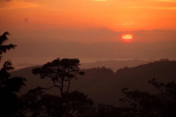 Krásný Západ Slunce Latinskoamerickém Deštném Pralese — Stock fotografie