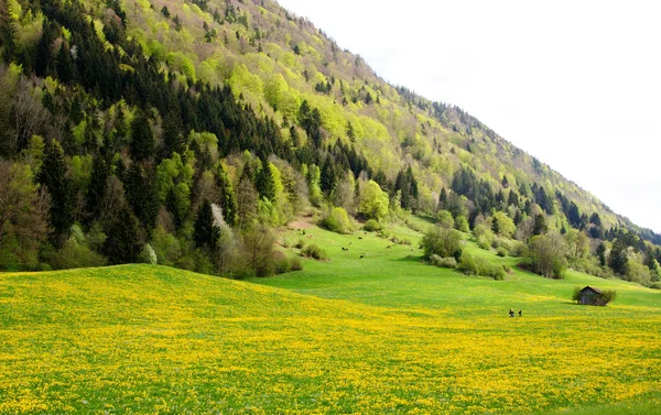 Verde Primaveral Sobre Rottachberg — Foto de Stock