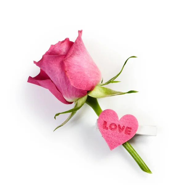 Różowa Róża Kołek Ozdobione Sercem Białym Tle — Zdjęcie stockowe
