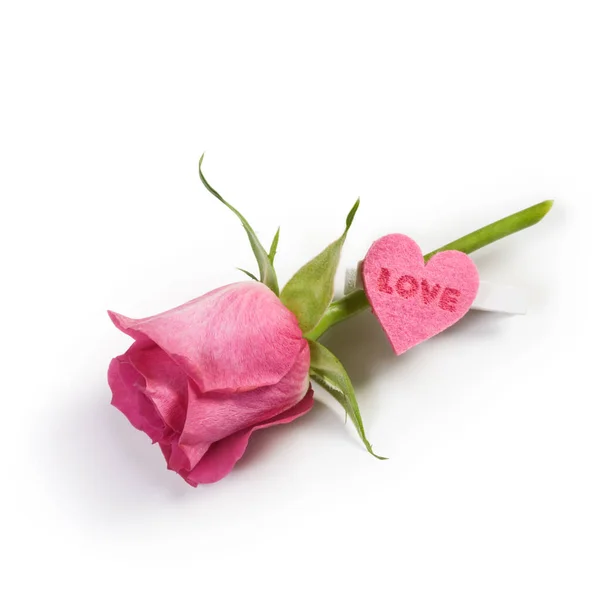 Рожева Троянда Кілок Прикрашені Серцем Білому Тлі — стокове фото