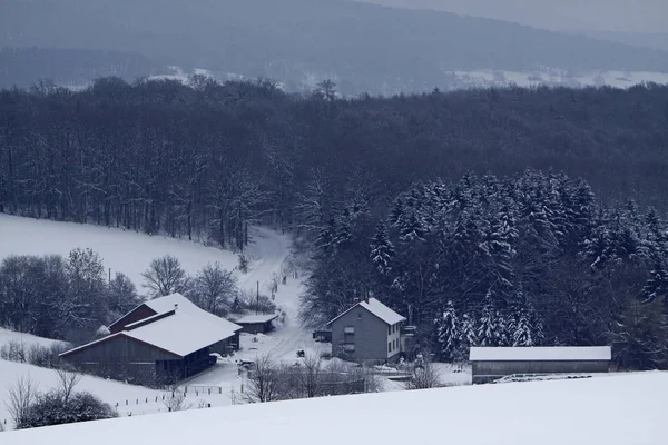 Fattoria Alverdissen Inverno — Foto Stock