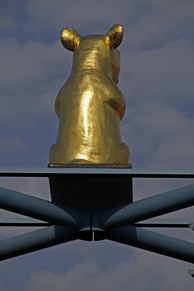 Złoty Most Szczurów Werder Hameln — Zdjęcie stockowe