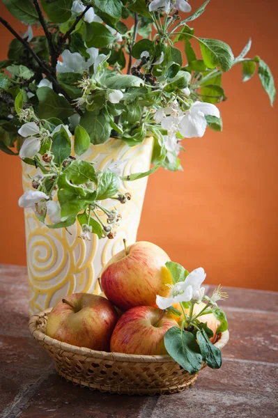꽃병에 사과나무의 아름다운 사과와 가지들 — 스톡 사진