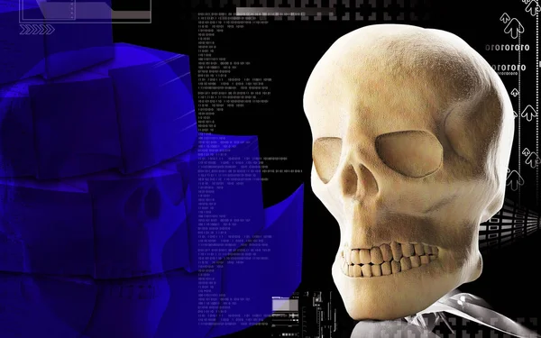 Illustrazione Digitale Del Cranio Umano Sfondo Colori — Foto Stock
