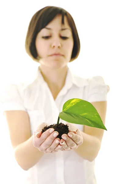 Jovem Mulher Negócios Isolado Branco Segurando Planta Verde Com Folha — Fotografia de Stock