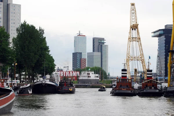 Grúa Puerto Rotterdam — Foto de Stock