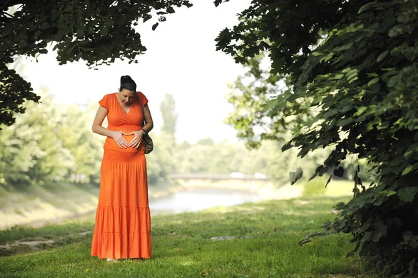 Bella Giovane Donna Incinta Felice All Aperto Nella Natura Luminosa — Foto Stock