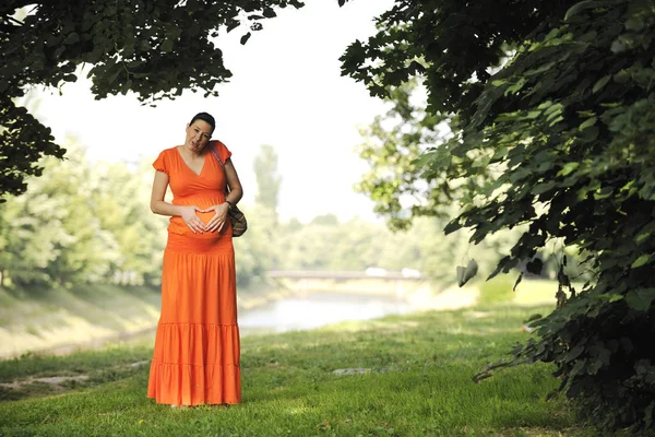 Hermosa Joven Feliz Mujer Embarazada Aire Libre Naturaleza Brillante Vestido — Foto de Stock