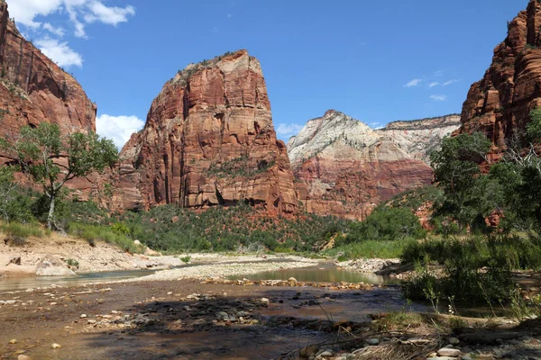 Engel Landen Zion Nationalpark — Stockfoto