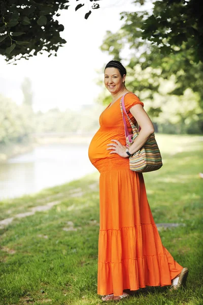 Beautiful Young Happy Pregnant Woman Outdoor Bright Nature Orange Dress Royalty Free Stock Photos