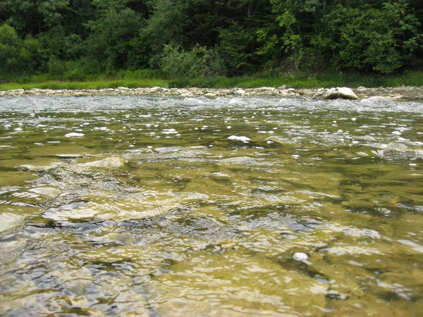 Bellissimo Paesaggio Con Acqua Velocità Fiume Montagnoso — Foto Stock