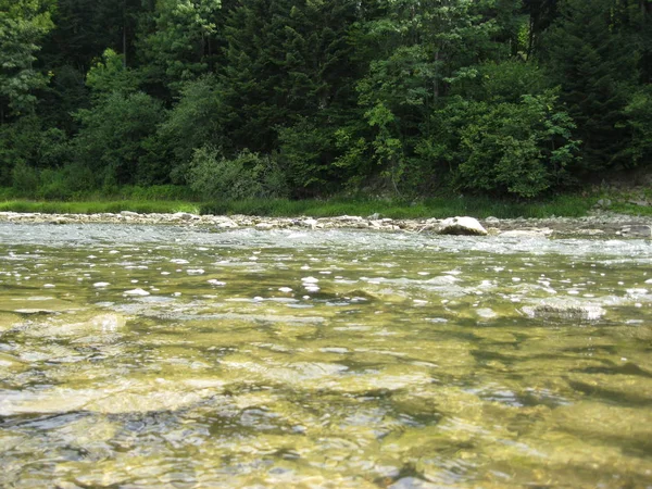 Dağlık Nehirde Hız Suyu Olan Güzel Bir Manzara — Stok fotoğraf