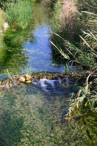 自然を背景にした美しい滝 — ストック写真