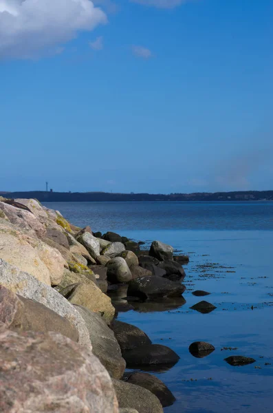 Vidět Záře Vodních Živočichů Flensburg — Stock fotografie