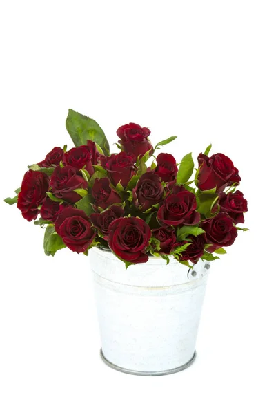 Rote Rosen Einem Eimer — Stockfoto