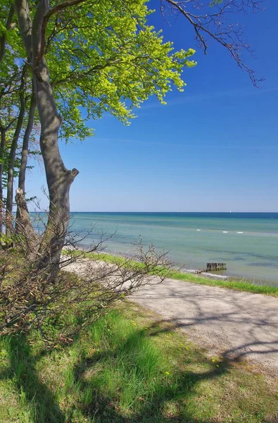 Vista Para Mar Baltico Perto Kellenhusen Schleswig Holstein — Fotografia de Stock