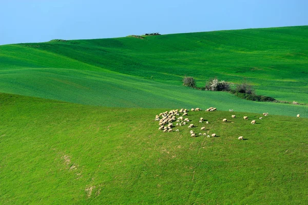 Vacker Utsikt Över Naturen — Stockfoto