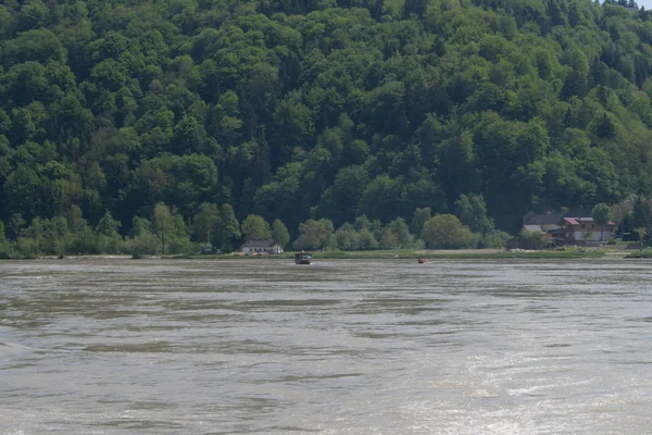 Forêt Avant Plan Rivière Danube — Photo