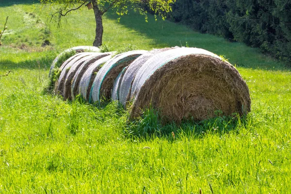 Pintoresca Vista Del Paisaje Rural — Foto de Stock