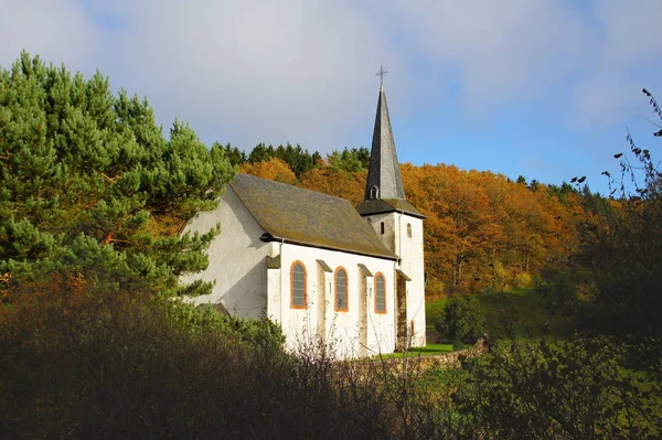 Walholzkirche Morbach Sozinho Floresta — Fotografia de Stock