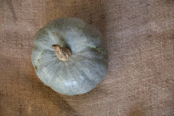 Herbstliche Kürbisdekoration Fallende Hintergrundgrenze — Stockfoto