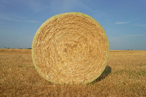 Mezőgazdasági Táj Mezei Bálák — Stock Fotó