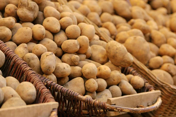 Potatoes Farmers Market — Stock Photo, Image
