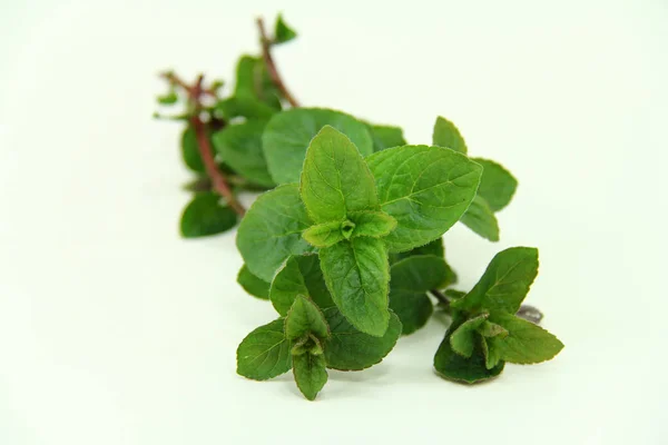 Close Food Selective Focus — Stock Photo, Image