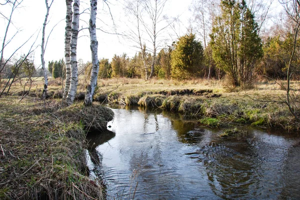 Streaming Creek Rural Landscape Swedish Island Oland — Stock Photo, Image