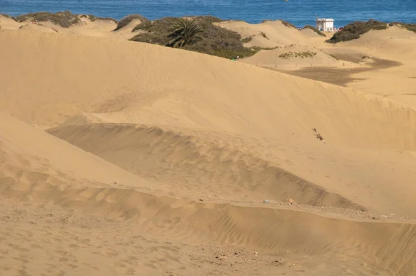 Ökenlandskap Med Afrikansk Sand Och Sanddyner Gran Canaria Spanien — Stockfoto
