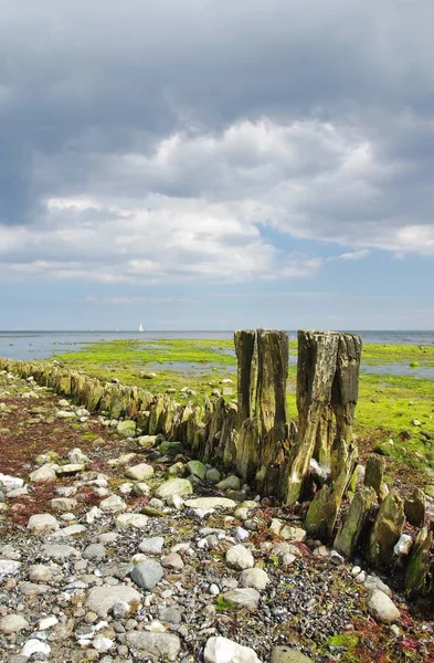 Pittoresk Uitzicht Buitenwereld — Stockfoto