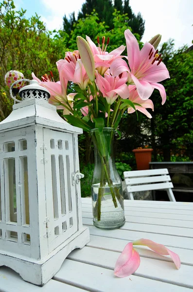 Pink Lily Garden Primavera Shabby Chic — Foto Stock