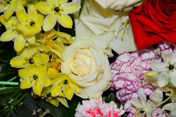 Květina Rovně Matka Den Španělsko — Stock fotografie