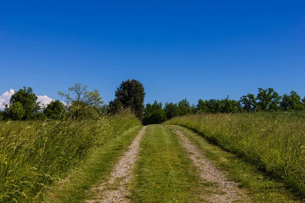 Mooie Weg Het Platteland Onder Blauwe Hemel — Stockfoto