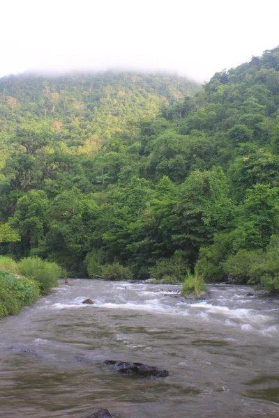 Ποταμός Βαθύ Δάσος Ποταμός Αειθαλές Δάσος Στην Ταϊλάνδη — Φωτογραφία Αρχείου