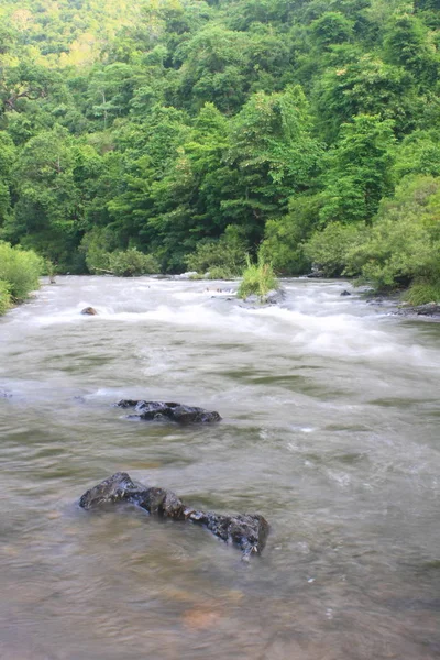 Río Bosque Profundo Río Bosque Siempreverde Tailandia —  Fotos de Stock