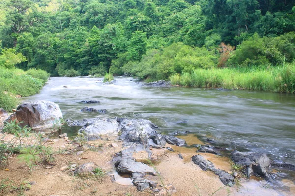 Río Bosque Profundo Río Bosque Siempreverde Tailandia — Foto de Stock