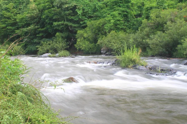 Rzeka Głębokim Lesie Rzeka Wiecznie Zielonym Lesie Tajlandii — Zdjęcie stockowe