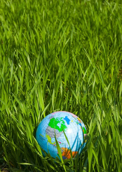 Earth Globe Hte Grass — Stock Photo, Image