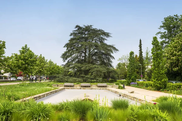 Hermosa Naturaleza Fondo Escénico — Foto de Stock