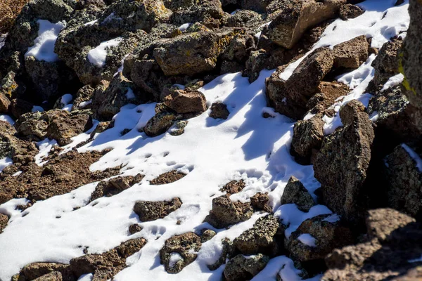 Lava Snow Sun Malpais — Stock Photo, Image