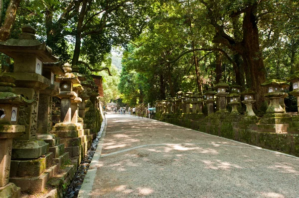 Vägen Leder Till Helgedom Kasuga Taisha Med Många Traditionella Lyktor — Stockfoto