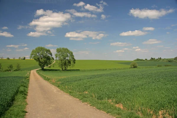 Landschaft Mit Feldweg — Stockfoto