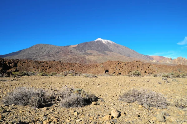 西班牙加那利岛Tenerife火山提德国家公园的沙漠景观 — 图库照片